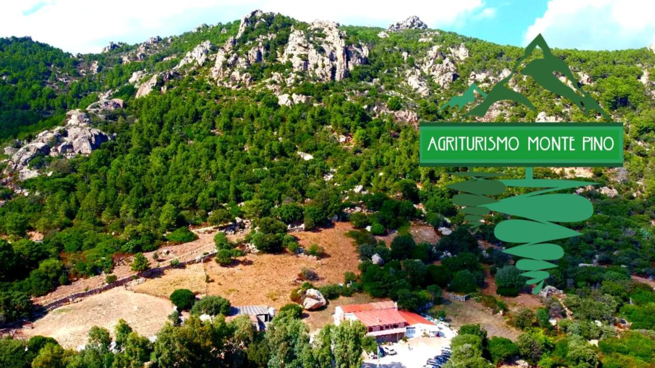 Agriturismo Monte Pino Telti ภายนอก รูปภาพ