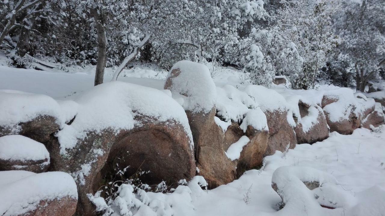 Agriturismo Monte Pino Telti ภายนอก รูปภาพ