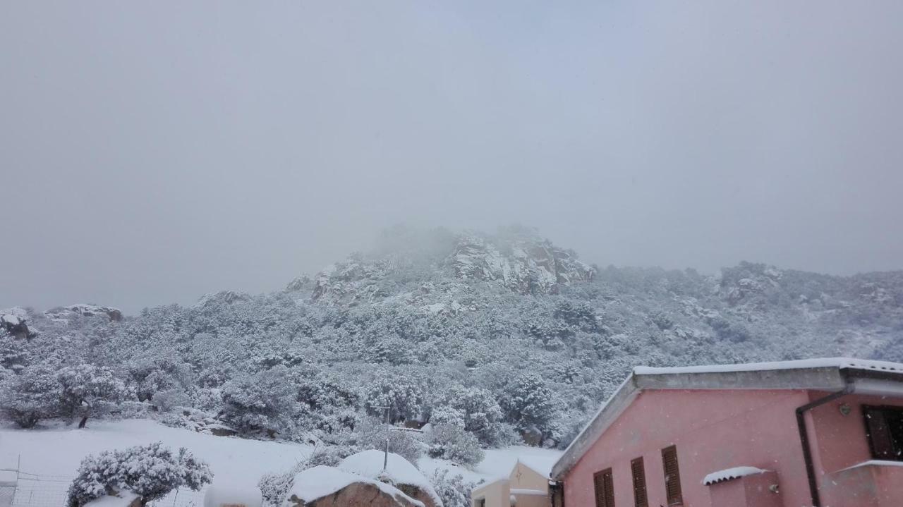 Agriturismo Monte Pino Telti ภายนอก รูปภาพ