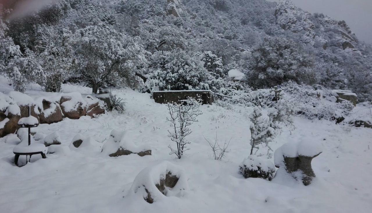 Agriturismo Monte Pino Telti ภายนอก รูปภาพ