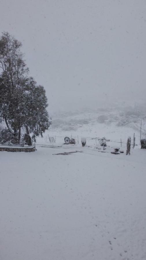 Agriturismo Monte Pino Telti ภายนอก รูปภาพ