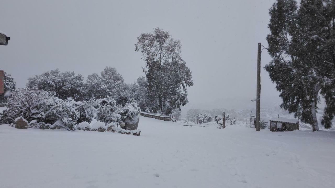 Agriturismo Monte Pino Telti ภายนอก รูปภาพ