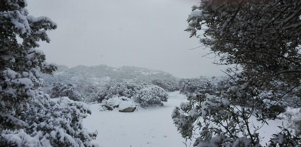 Agriturismo Monte Pino Telti ภายนอก รูปภาพ