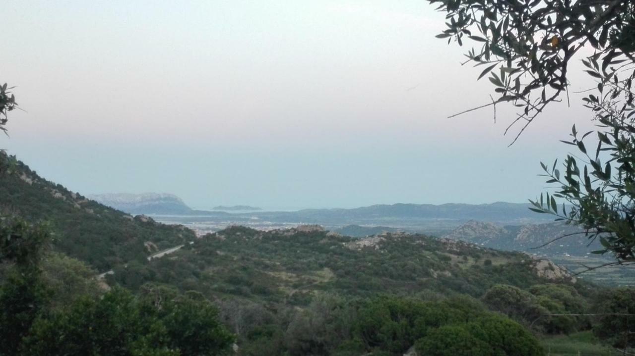 Agriturismo Monte Pino Telti ภายนอก รูปภาพ